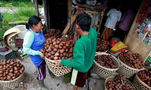 Sirup Salak Diharapkan Jadi Minuman Penyambut Tamu