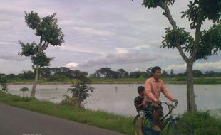 DAMPAK BANJIR: Sawah di 10 Desa Tergenang, Nasib Tanaman Diyakini Masih Aman