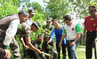 MENANAM BIBIT POHON TALOK