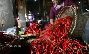 SORTIR CABE MERAH KERITING