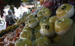 HARGA BUAH IMPOR NAIK