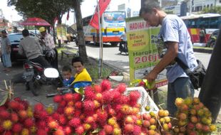 OBAT HERBAL : Jangan Dibuang! Kulit Rambutan Bisa Atasi Diabetes