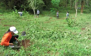 CEGAH SERANGAN KERA, Warga Desa Tanam Ribuan Pohon Buah