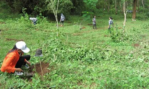 CEGAH SERANGAN KERA, Warga Desa Tanam Ribuan Pohon Buah