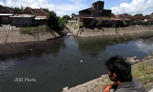  PENCEMARAN LINGKUNGAN : Ribuan Ikan di Pracimantoro Mati