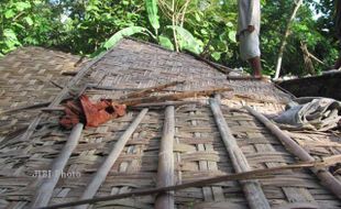 Rumah Ambruk Tertimpa Pohon, Erlita Selamat karena Demam