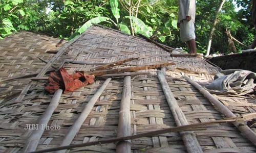 Rumah Ambruk Tertimpa Pohon, Erlita Selamat karena Demam