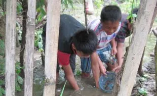 WONOGIRI BANJIR: Kolam Ikan Meluap, Kerugian Rp150 Juta