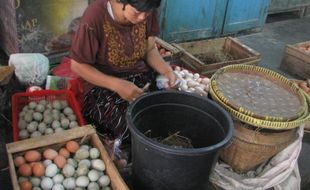 Harga Telur Bebek di Jogja Naik