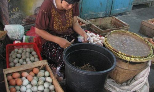 Harga Telur Bebek di Jogja Naik