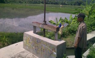 Kebanjiran, 40 Hektare Sawah Gantiwarno Klaten Terancam Puso