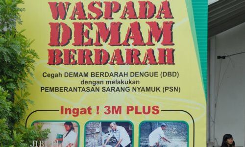 Awas, DBD Kulonprogo Hingga Juni 122 Kasus, 3 Meninggal Dunia