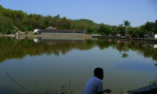  KESEPIAN, Jangan Dibunuh, Kelola Saja Dengan 5 Langkah Berikut