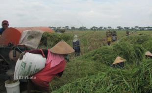 PERTANIAN SRAGEN : Petani Dapatkan Rp1 Juta untuk Perbaiki Irigasi 