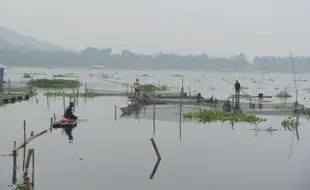 MEMANCING IKAN DI TENGAH RAWA JOMBOR