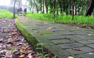 MESUM KLATEN: Pengawasan Lemah, Hutan Kota Pernah Buat Pesta Miras