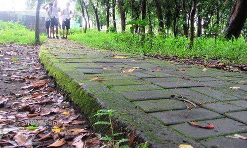 MESUM KLATEN: Pengawasan Lemah, Hutan Kota Pernah Buat Pesta Miras