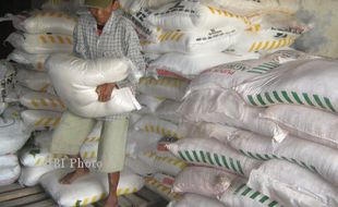 Alokasi Pupuk Subsidi di Sragen Anjlok Banyak, Petani Meninggal Jatah Hilang