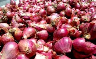 Harga Bawang Merah Capai Rp20.500 