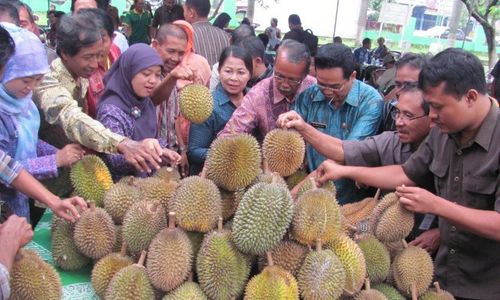 MUSIM DURIAN : Gara-Gara Pesta Durian, Inilah Akibatnya