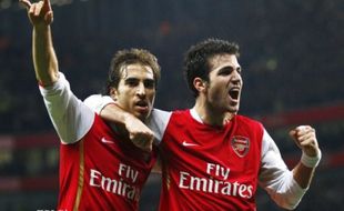 Flamini Ungkap Kelemahan Fabregas