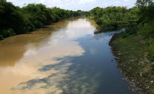 PENCEMARAN : Sungai Bedog Masih Berbau