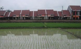 Bantul Banyak Perumahan, Harga Tanah Meningkat