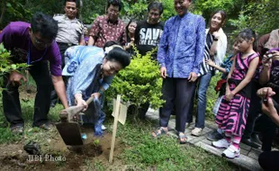 MENANAM POHON DURIAN