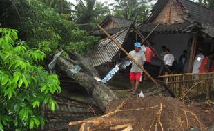 HUJAN ES BOYOLALI: Pepohonan Tumbang, Rumah Warga Rusak