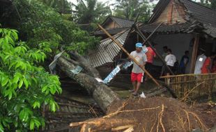   RUMAH TERTIMPA POHON