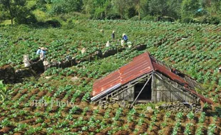 WISATA PURBALINGGA : Pemkab Apresiasi Semangat Pokdarwis Tingkatkan SDM