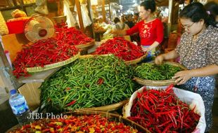 HARGA CABAI MAHAL : Di Maluku Capai Rp80.000/kg