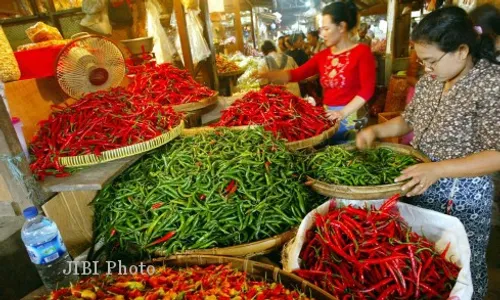 PERTANIAN JATENG : Duh, Cabai asal Tiongkok Ditemukan di Magelang