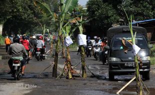 Sering Celakakan Warga, Jalan Adi Soemarmo Ditanami Pohon Pisang