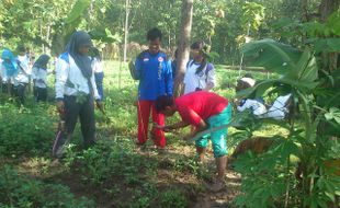   Pualam SMAN 1 Sragen Tanam Ratusan Bibit Pohon