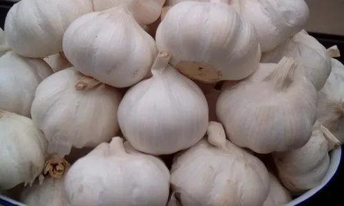 Bawang Putih Capai Rp55.000, Si Merah Langka