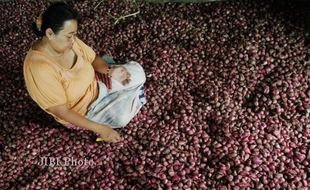 Pasokan Minim, Harga Bawang Melonjak 100%