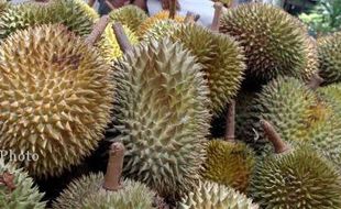 Keren, Guru SD di Sidoharjo Wonogiri Ini Kembangkan Bibit Durian