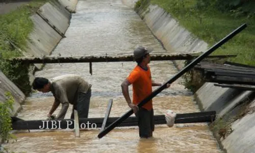 Irigasi Kalibawang akan Dikeringkan 3,5 Bulan, Ribuan Hektare Sawah Dilarang Tanam Padi