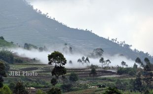 AKTIVITAS KAWAH DIENG : Tanaman Rusak, Petani di Sekitar Kawah Timbang Rugi Miliaran Rupiah