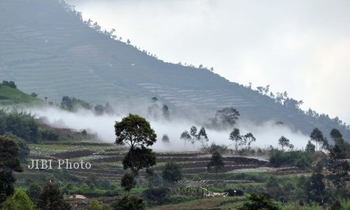 Tragedi Sinila, Kisah Tragis di Dieng yang Sebabkan 147 Jiwa Melayang