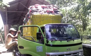 SIAP ANGKUT SAMPAH