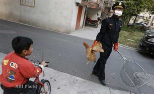 FLU BURUNG : Seorang Anak Balita Jadi Pembawa Virus H7N9