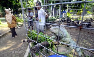 MoU Tunggu Pengesahan, Tiket Masuk Taman Reptil Diusulkan Rp5.000 