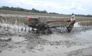  Disperindag Sukoharjo Prioritaskan Solar untuk Petani