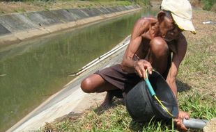 Kemarau Tiba, Petani Kalijambe Terancam Gagal Panen