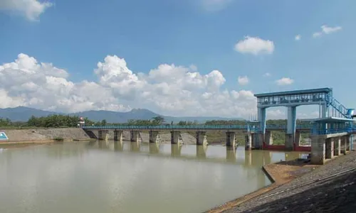 Dam Colo Timur Ditutup, Sawah Tiga Kecamatan di Sragen Terdampak