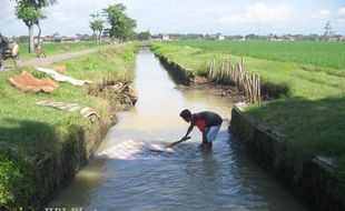 Proyek Perumahan Kacaukan Sistem Irigasi, Dispertan Bakal Lakukan Normalisasi