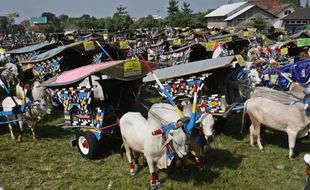 139 Bajingan Berlomba di Festival Gerobak Sapi