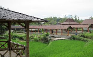  AGROWISATA JATIBEDUG